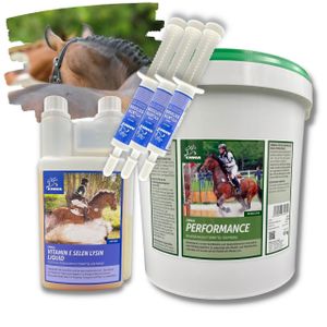 Pferdefutter & Ergänzungsfutter für alte Pferde SPARSET