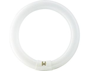 Žiarivka Philips G10q 32W 2375lm 4000K