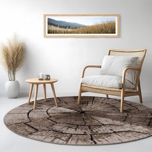 Edler Designer Teppich Wohnzimmer Holzstamm Baum Optik Natur Grau Braun Beige Grösse Ø 120 cm Rund