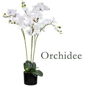 Umelé kvety Orchidea Orchidea Rastliny Umelá rastlina Umelé kvety Umelá rastlina Biela s kvetináčom Dekorácie 75 cm Decovego