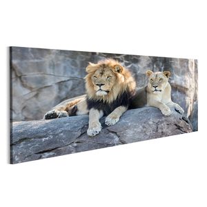 Bild auf Leinwand Männliche Und Weibliche Löwen Sitzt Auf Einem Felsen  Wandbild Leinwandbild Wand Bilder Poster 120x40cm Panorama
