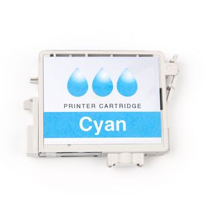 Epson Cyan XXL Ink Supply Unit - Original - Cyan - WorkForce Pro WF-R8590 - 1 Stück(e) - Japan - 87