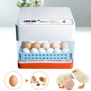 Vollautomatische Brutmaschine 24-Eier Inkubator Brutapparat Brutkasten Flächenbrüter Brüter