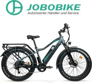 E-BIKE JOBOBIKE ELEKTROFAHRRAD ROBIN PLUS 26 x 4 ZOLL HYDRAULISCHE BREMSEN GRAU
