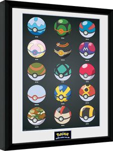 Pokemon Pokebälle Collector Print