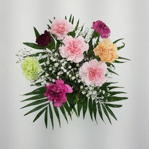 Blumenstrauß - klassischer Nelkentraum - Blumenversand zum Wunschtermin