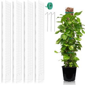 Monstera Rankhilfe Rankstäbe, 4 Stück 24 Zoll Moosstab Pflanzen Moosstangen Set,Zimmerpflanze Moss Pole