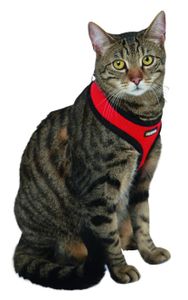 Kerbl-Halsbänder für Katzen, rot [82644]
