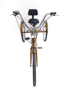 24 Zoll 3 Rad Fahrrad 6 Gänge Dreirad mit Einkaufskorb Rikscha Dreirad Tricycle für Erwachsen