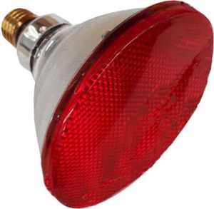 Philips IR-PAR38 100W E27 Halogenlampe, Sockel E27, Reflektor E14/E27, 100 Watt