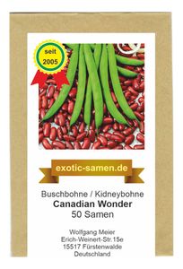 Buschbohne - Kidneybohne - Canadian Wonder - 50 Samen