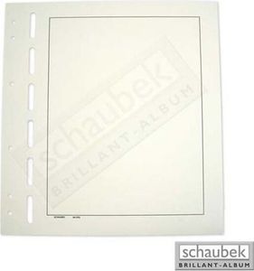 Schaubek Blankoblätter bb500 gelblich-weiß mit Rahmen - Albumpapier