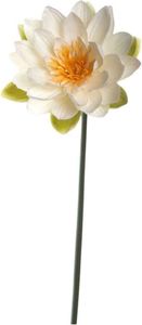 Seerose 75 Fiore