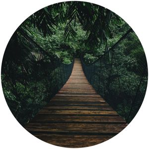 Sticker Kreis für Wohnzimmer BRÜCKE im Wald Bäume Grün Pflanzen Landschaft 3D Natur Aufkleber Wanddeko Wandtattoo 100 cm x 100 cm