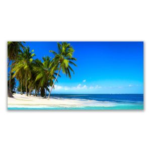 Acrylglasbilder - 140 cm x 70 cm - Bild - Wandbild Druck Palmen Strand Meer Landschaft