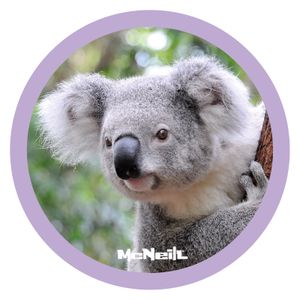 McNeill McAddys zu Schulranzen Dschungel Koala