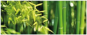 Wallario Wandbild aus Acryl, 125 x 50 cm, freischwebende Optik - Bambuswald mit grünen Bambuspflanzen