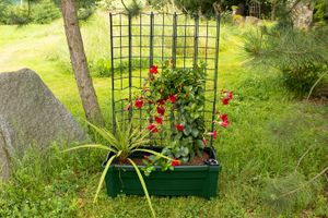 Calypso Pflanzkasten auf Rollen mit Bewässerungssystem + modulares Spalier, grün