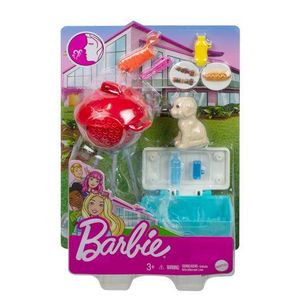 MATTEL GRG76 Barbie Mini Spielset mit Tier #1