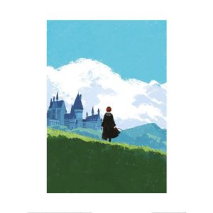 Harry Potter - s potlačou PM6177 (40 cm x 30 cm) (modrá/zelená/čierna)