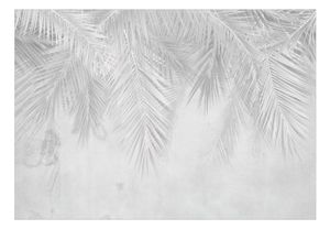 Vlies Fototapete tropische Blätter 300x210 cm Tapeten Wandtapete XXL Palmenblätter Palmen Dschungel weiß b-C-0741-a-a