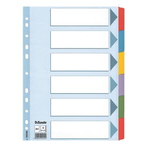 Esselte Karton Register blanko A4 6-teilig mehrfarbig