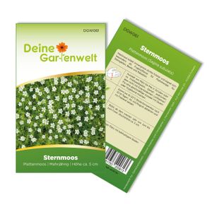 Sternmoos Mastkraut Plattenmoos Samen - Sagina subulata - Sternmoossamen - Saatgut für 400 Pflanzen