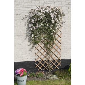 Nature Garten-Rankgitter 50x150 cm Holz Natur