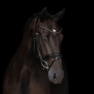 Kieffer Trensenzaum Grace Schwedisches Reithalfter, Größe:Pony