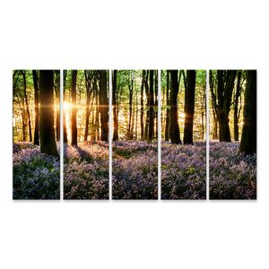 Bild auf Leinwand Blühende Glockenblumen Im Wald Bei Morgenlicht Wandbild Poster Kunstdruck Bilder 170x80cm 5-teilig