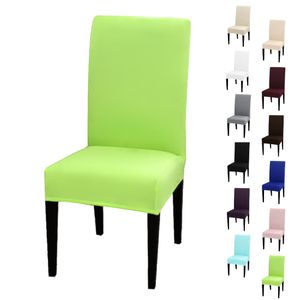 Stuhlhusse Stretch Hellgrün elastischer Universal Stuhlüberzug Esszimmer Stuhlbezug Dehnbar, 1 Stück,
