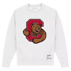 Cornell University - Mikina pro muže/dámy Unisex PN273 (5XL) (bílá)