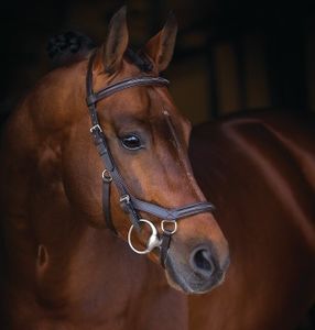 Horseware Rambo Micklem Deluxe Competition Bridle - Dark Havana, Größe:Pony (S)