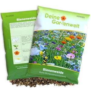Bienenweide Blumenmischung - 100 g Samen für Bienenwiese - Bienen und Hummelmagnet - Saatgut für bunte Blumenwiese