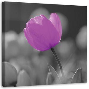 Feeby Wandbild auf Vlies Tulpenblüte Lila 60x60 Leinwandbild Bilder Bild