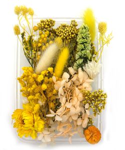 Farblich sortierte Box mit getrockneten Blumen - Gelb