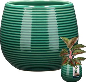 KOTARBAU® Blumentopf Türkisfarben Keramik rund ⌀ 12 cm Höhe 14 cm Glasierte Keramik 1 St. Blumenübertopf groß Übertopf Keramik Pflanztopf Keramik Blumentopf Keramik Pflanzkübel Keramik