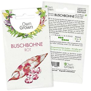 Rote Bohnen Samen Buschbohnen: Rote Buschbohnen Samen für 15 Bohnen Pflanzen – Bohnensamen Buschbohne – Samen Gemüse Samen – OwnGrown Saatgut Bohnen