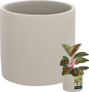 KOTARBAU® Doniczka ceramiczna duży cylinder etno ⌀ 16 cm wysokość 15 cm 1 szt. Doniczka ceramiczna doniczka betonowa wygląd małe doniczki ceramiczne rośliny doniczkowe