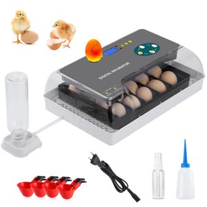 20 Eier Inkubator Brutautomaten, Vollautomatisch Brutkasten mit LED-Licht und Temperaturregelung, Automatische Wendung der Eier, Einstellbare Abstände