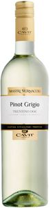 Pinot Grigio Trentino DOC Mastri Vernacoli Trentin | Italien | 12,50% vol | 0,75 l