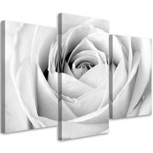 Feeby Leinwandbild 3-teilig auf Vlies Weiße Rose Blumen 90x60 Wandbild Bilder Bild