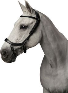 Zaumzeug Reiten Presteq Faysport Zaumzeug Reiten Presteq Faysport