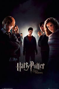 Harry Potter und der Orden des Phönix Poster 91,5 x 61 cm