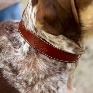 Hundehalsband. Halskette aus Leder. Haut. Prämie. Braunes Hundehalsband. Handgemacht. Personalisiert.