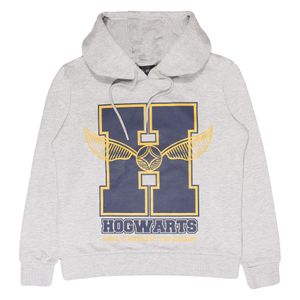 Harry Potter - "Glitter School Emblem" Kapuzenpullover für Herren/Damen Uni PG2113 (XXL) (Grau meliert/Marineblau/Gelb)