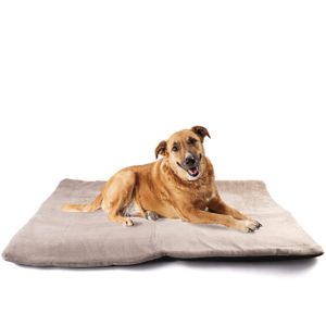 vitazoo Hundedecke waschbar in grau in 70 x 100 cm – Thermodecke/Hundekissen – für ausgewachsene Hunde, Welpen und auch Katzen – weich und flauschig
