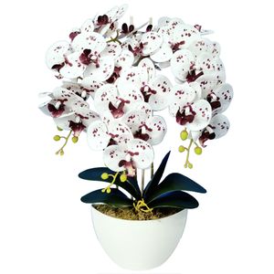 Kunstpflanze Damich 3pgk künstliche Orchidee im Blumentopf Kunstblume Dekoration Pflanze Blume Höhe ca. 60cm