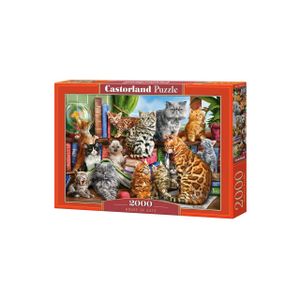 Castorland puzzle Haus der Katzen 2000 Teile, Farbe:Multicolor