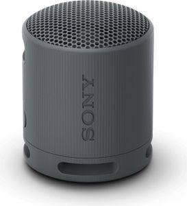 Sony | Głośnik | SRS-XB100 | Wodoodporny | Bluetooth | Czarny | Przenośny | Połączenie bezprzewodowe